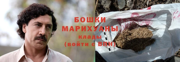 крисы Бежецк