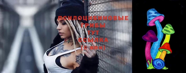 ГАЛЛЮЦИНОГЕННЫЕ ГРИБЫ Балахна