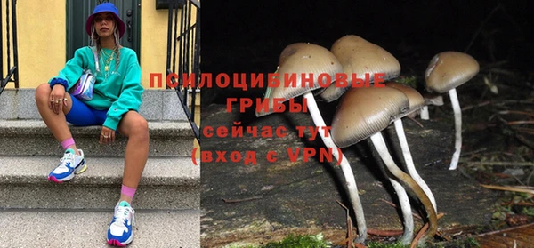 ГАЛЛЮЦИНОГЕННЫЕ ГРИБЫ Балахна