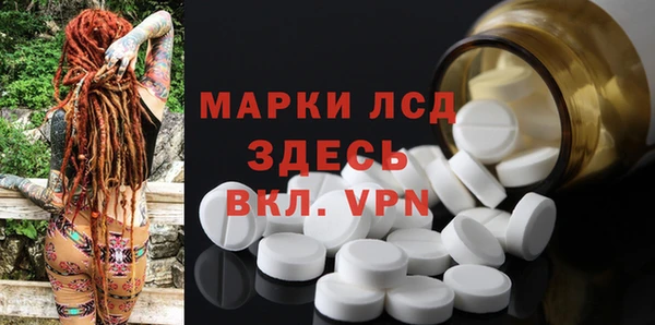 ГАЛЛЮЦИНОГЕННЫЕ ГРИБЫ Балахна