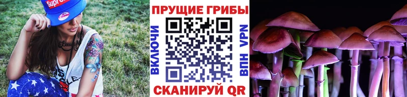 Галлюциногенные грибы мицелий  KRAKEN ТОР  Бородино  наркотики 